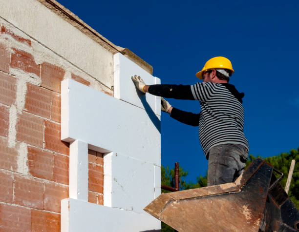 Best Local Insulation Services  in Braddock, PA