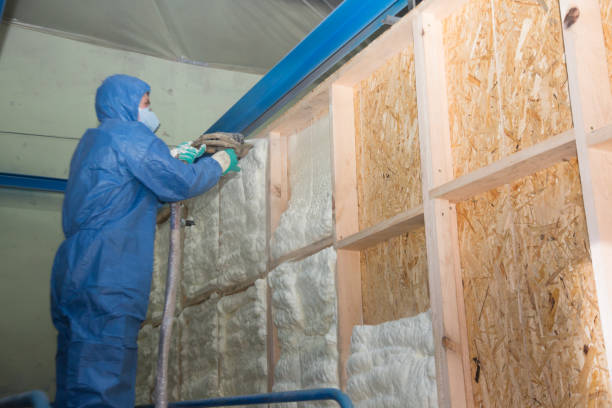 Best Best Insulation Companies  in Braddock, PA