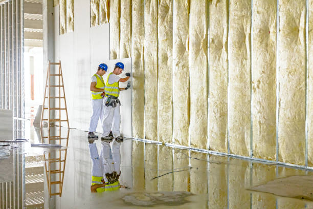 Best Blown-in Insulation  in Braddock, PA
